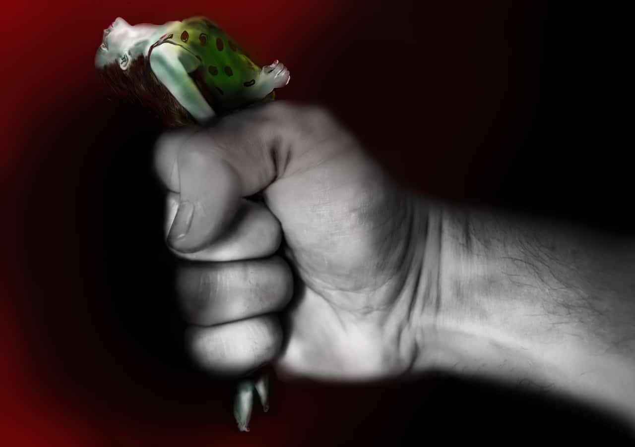 Competent institutions in BiH Spores: Femicid is still not legally recognized, and violence continues