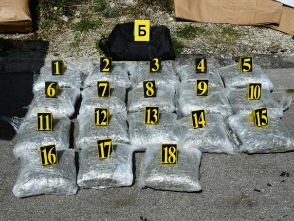 MUP RS released photos, almost 80 kgs of marijuana found