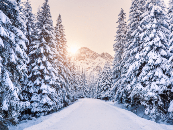 Published Winter Forecast: The polar vortex will be affected on time