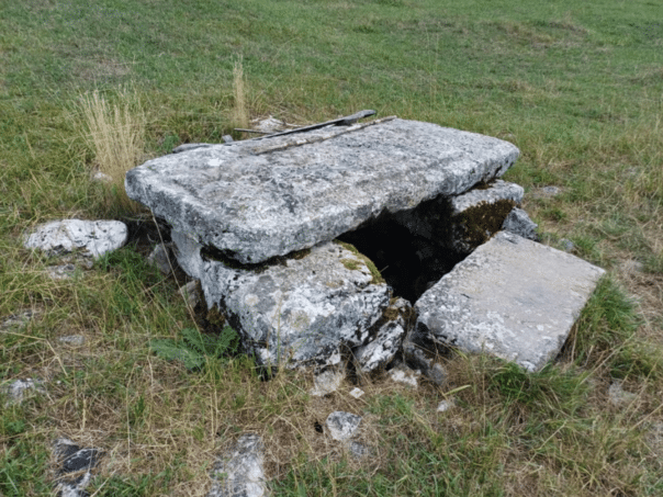 Three new necropolises of stećak tombstones in Rogatica – the question is how much more are there