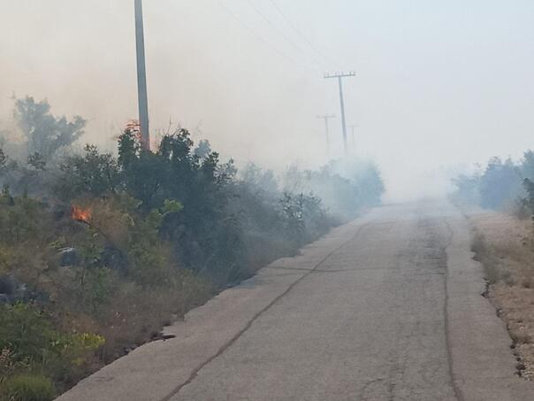 Open road toward Neum after fire localization