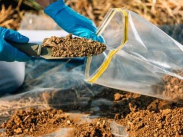 Call for applications for free soil analysis in the municipality of Neum