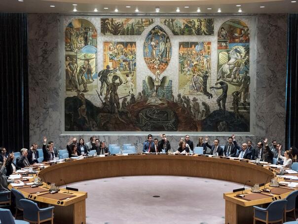 All UN members except the USA-and the hunger in Gaza is caused "by human action"
