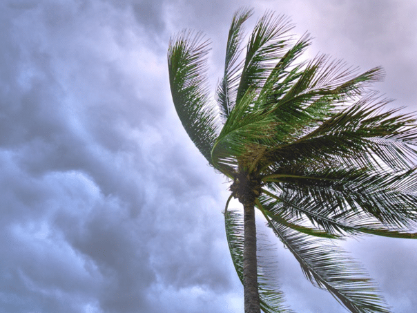 Tropical Storm Dexter moves above the western Atlantic