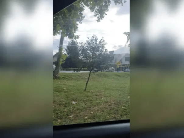 In a car accident in Živinice killed girl (19)