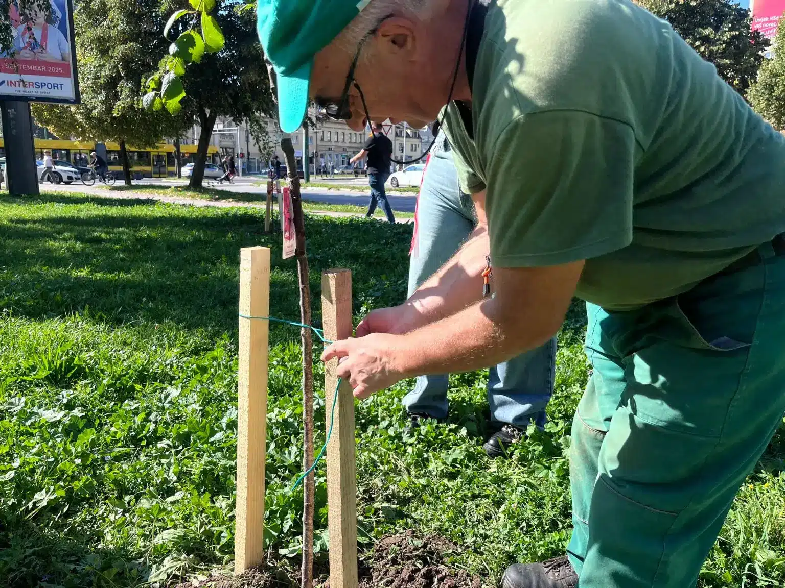 Permanent memory of fematicide victims in BiH: In Sarajevo planted seedlings of ornamental almond