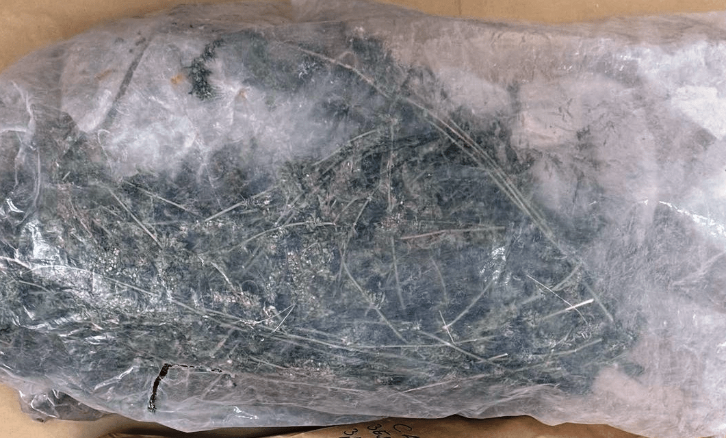 Photo / Police Directorate MUP TK: Defeated about 23 kilograms of marijuana, arrested one person