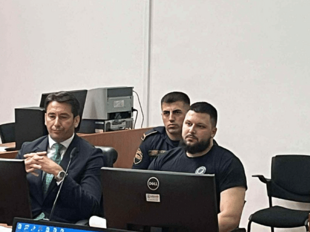 Details from the Panther Leader: How did Ginovic work!?