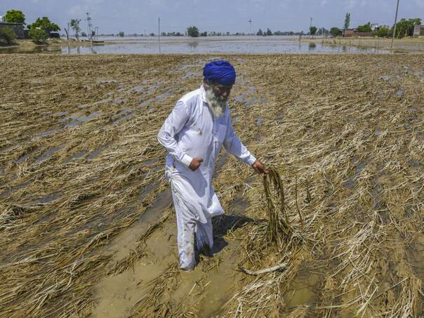 Floods destroyed Indian Žitnica Punjab