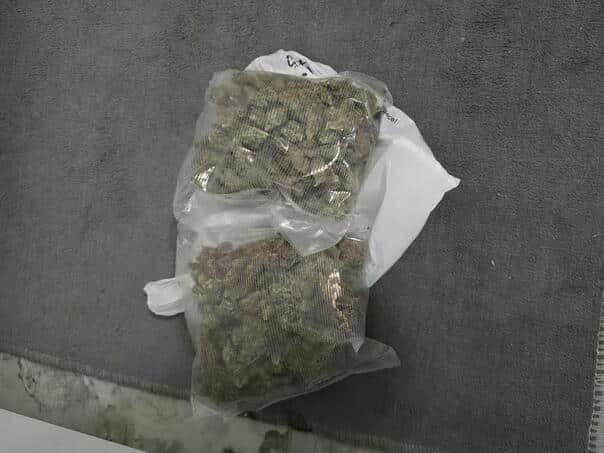 In action "Plantation 2025" Found 33 Indian hemp and narcotic drug stems