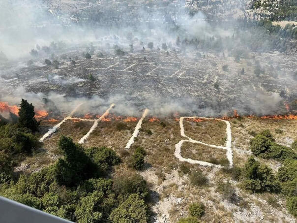 In BiH, the afforestation of revolved surfaces is moving, the first action at Mostar Fortica