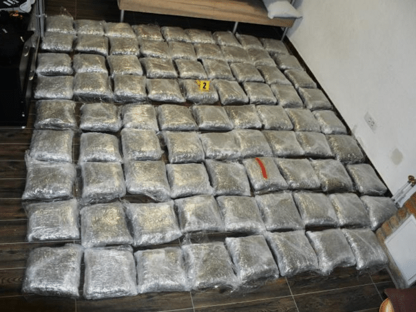 280 kilograms of drugs were taken in Sarajevo in this year