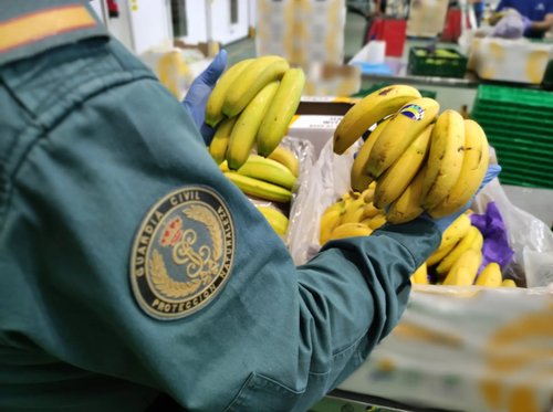 Europol bananas