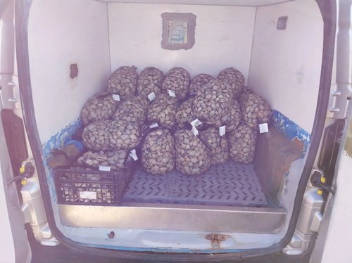 Europol potatoes