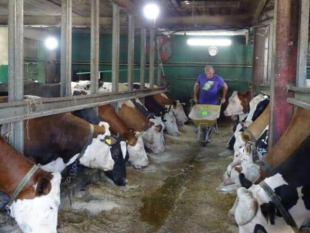 Farmers from the USK seek additional support for inflation