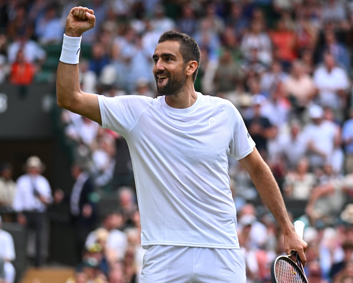 Čilić moved up 14 places in the ATP rankings