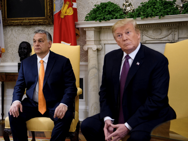 Orban and Trump are meeting on November 7 in Washington