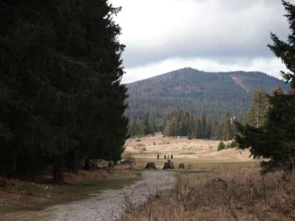 Snow possible on the mountains, rain in lowlands