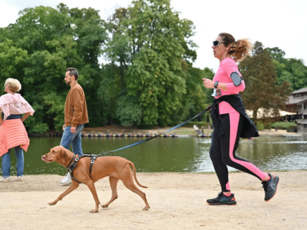 "Six-legged race": A spectacular pet competition was held