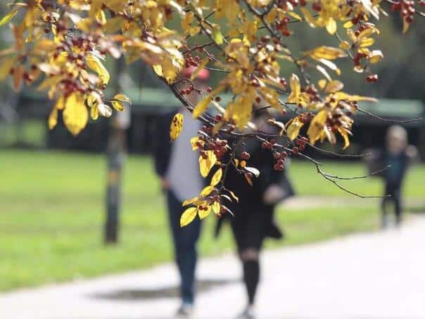 Sunny weather awaits us in most of the country