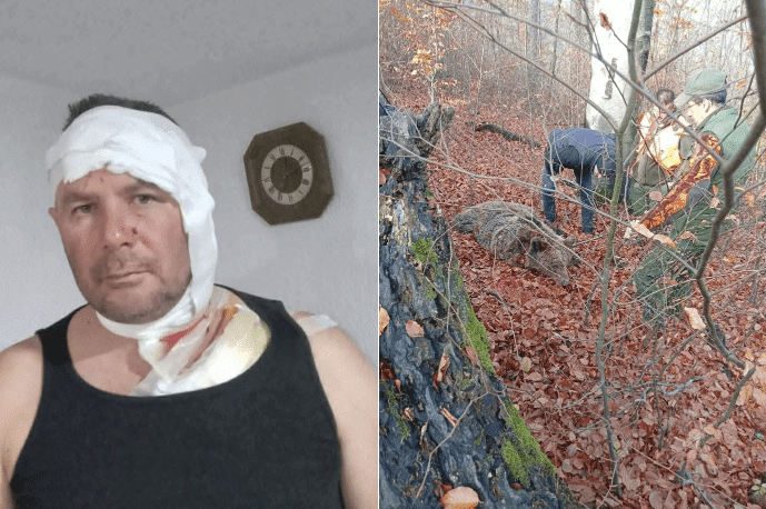 A hunter survived a bear attack in Konjuh, ended up in UKC Tuzla