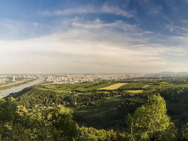 Vienna received the sixth protected nature area