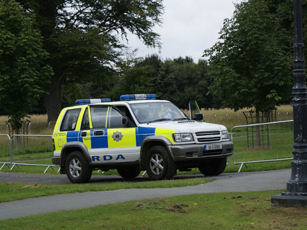 A Bosnian beat a fellow countryman to death in Dublin