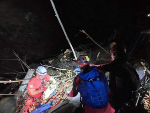 The body of the dead forest worker was recovered from Brčko