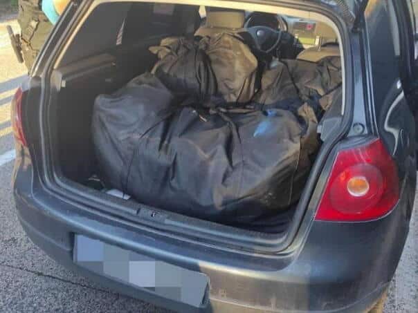 In the area of Trebinje, four persons were arrested, a large amount of skunk was seized