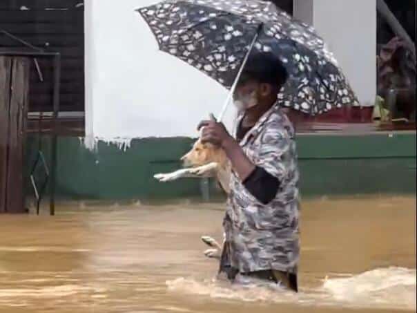 Unprecedented floods hit Sri Lanka: Helicopters pull out survivors