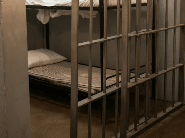 Custody of Mostar was ordered for domestic violence, the Prosecutor’s Office published horrific details