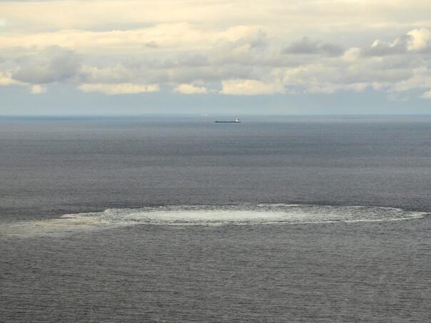 Suspected organizer of explosions on the North Stream gas pipeline extradited from Germany to Italy