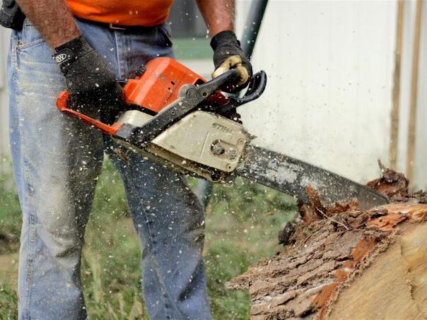 Srebrenica: Stolen money and chainsaw