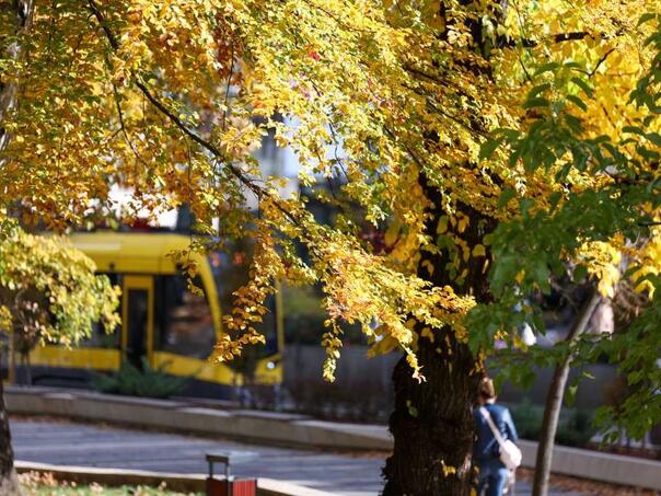 Sunny throughout BiH: Temperatures up to 19 degrees