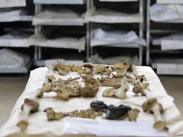 The remains of five Bosniak victims from the war have been identified