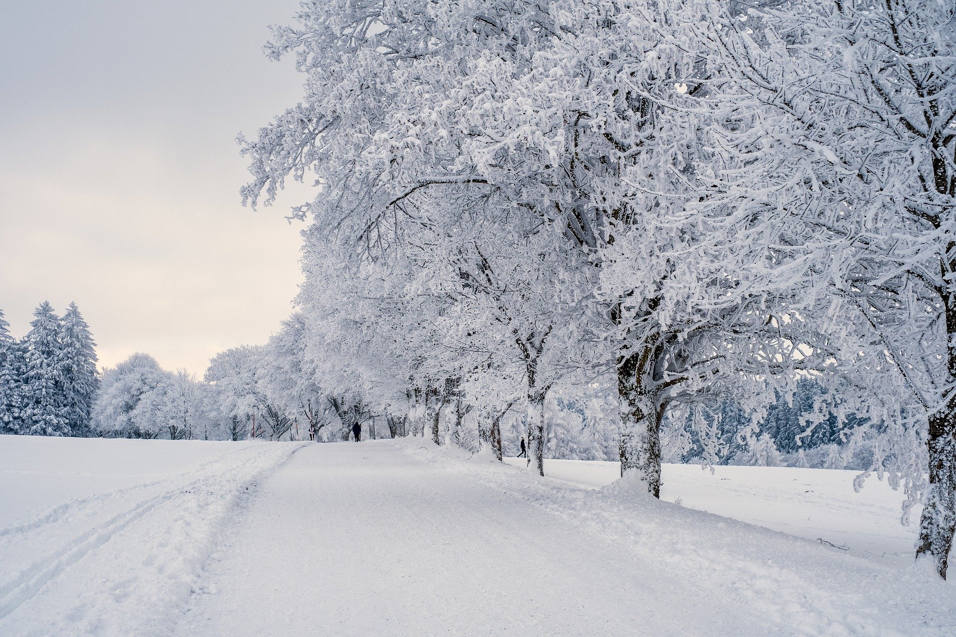 Cold and cloudy days ahead: Rain, sleet and snow in most of Bosnia and Herzegovina