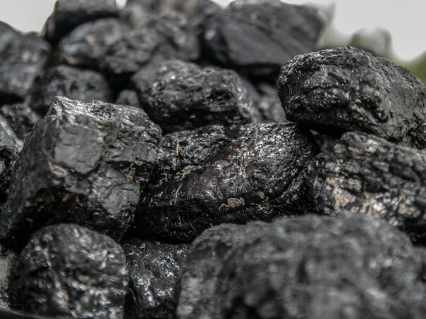 Global demand for coal will reach a new record high this year