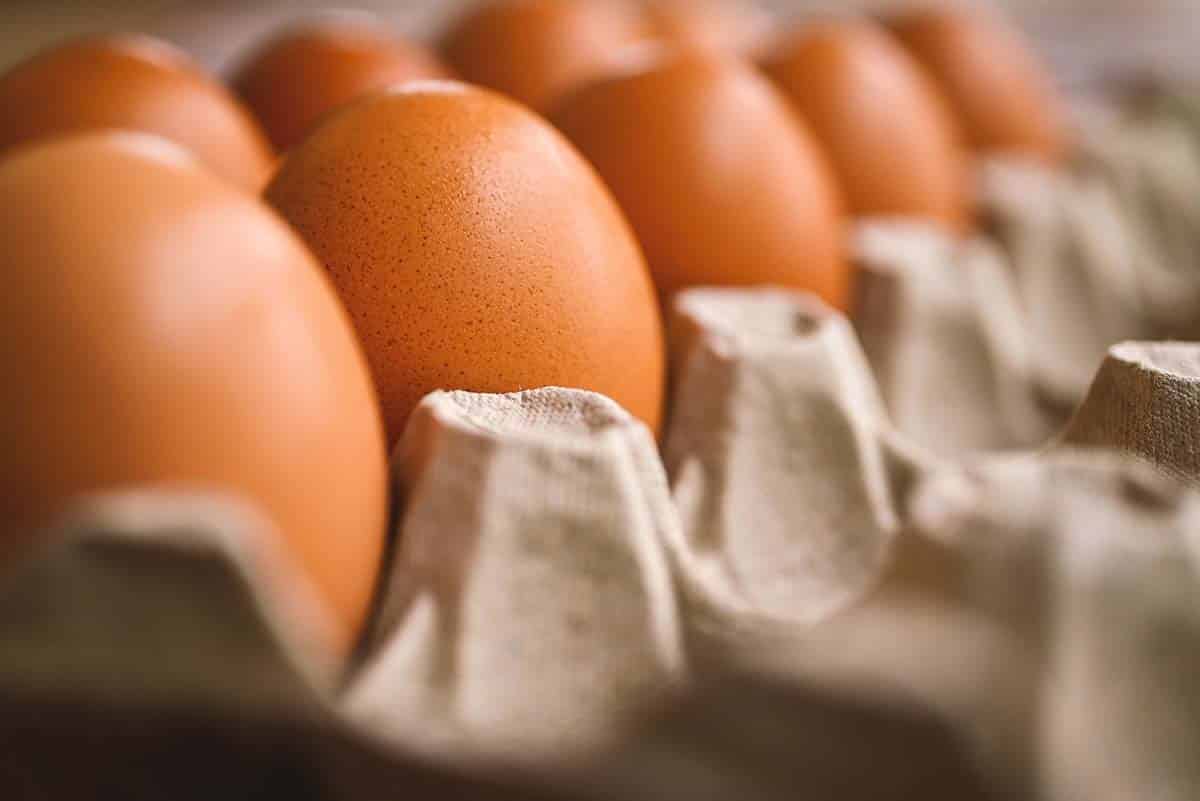 A solution is sought: BiH cannot export class A eggs to the EU market