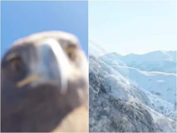 An unusual meeting of nature and technology: An eagle in flight hijacked a drone in Turkey
