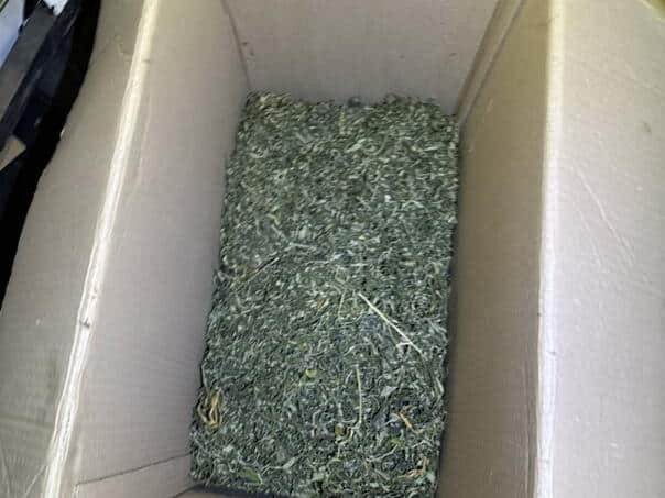 Police found almost four kilograms of marijuana, arrest in Bosanski Šamac