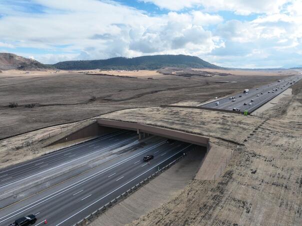 $15 million project: World’s largest wildlife bridge opens