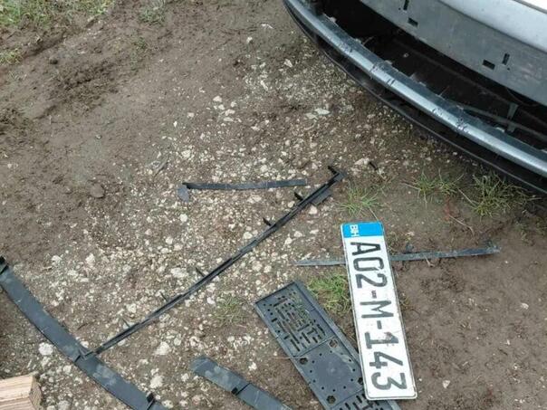 Stray dogs damaged a car in Ilijaš