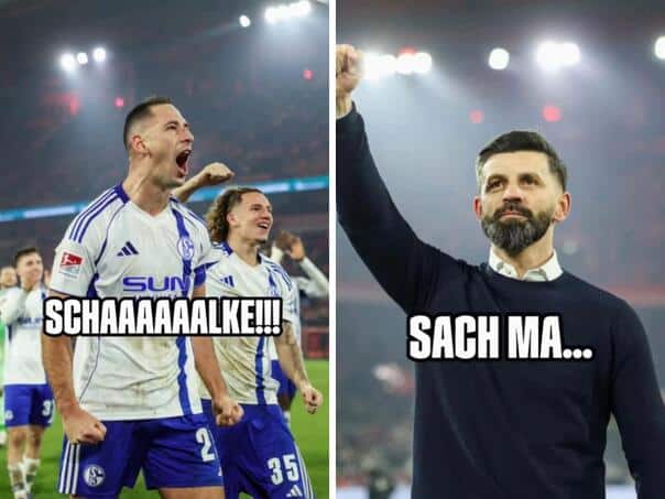 Schalke released Šaban Šaulić and wrote "Let’s go"