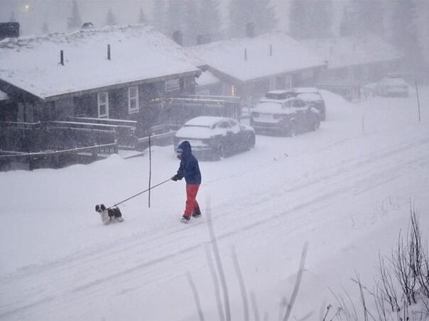 Snowstorm hits Sweden: More than 40,000 households without electricity