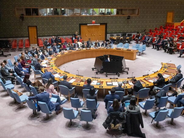 The UN Security Council confirmed the support of Bosnia and Herzegovina at the initiative of Slovenia