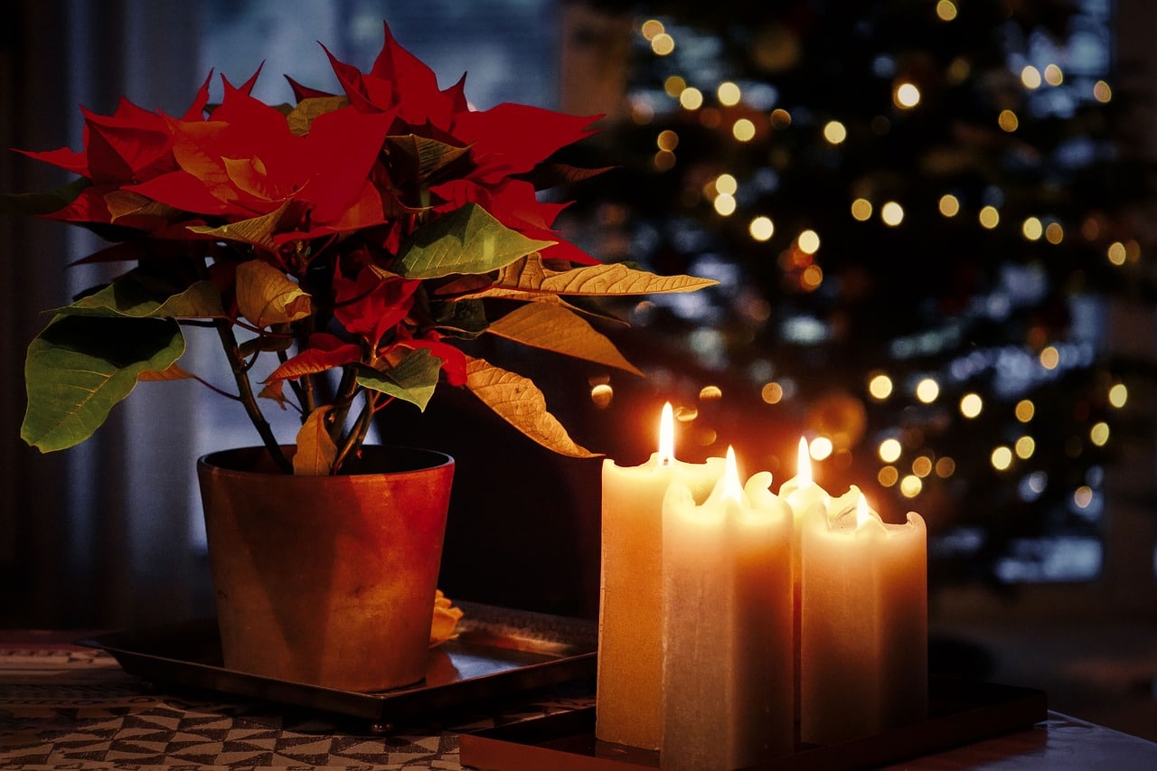 Today, Orthodox believers around the world celebrate Christmas, the most joyous holiday