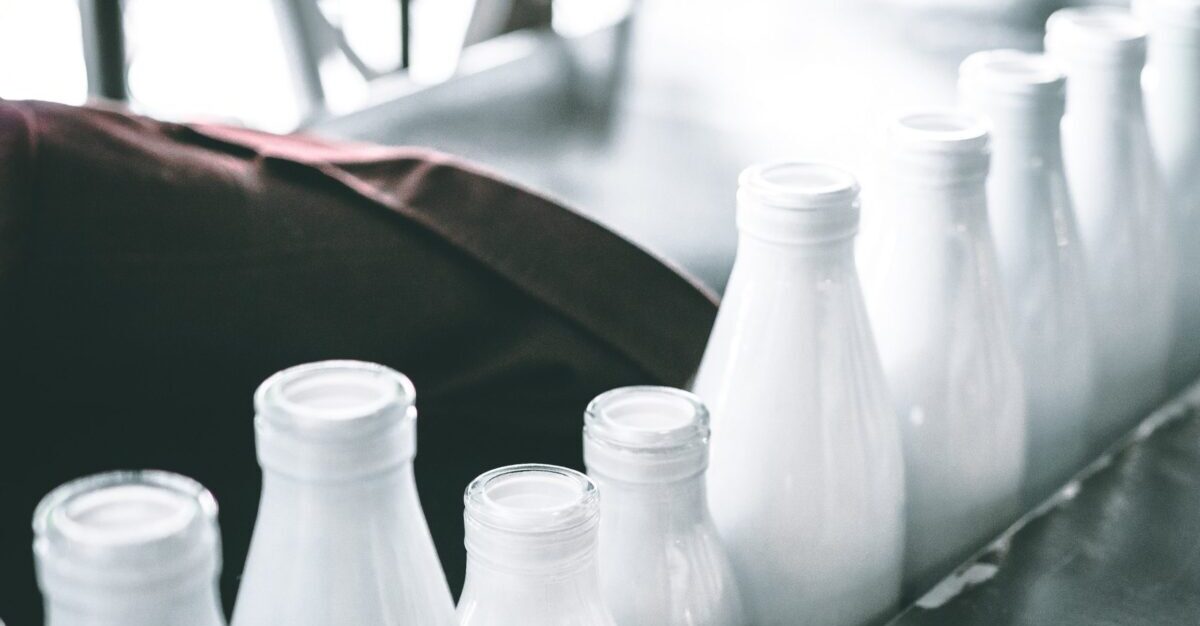The dairy industry of Bosnia and Herzegovina demands an urgent separation of plant and dairy products on the market