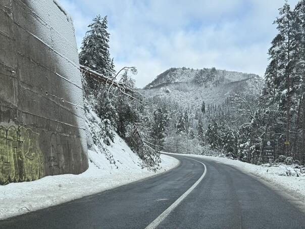 Driving on partially wet or damp pavement