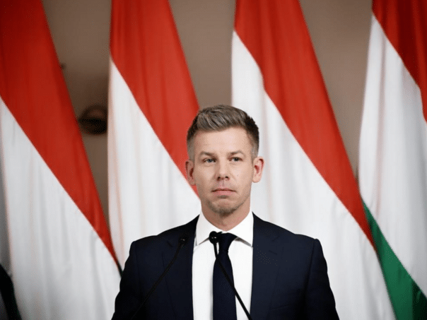 The court confirmed: The document against the opposition in Hungary was false