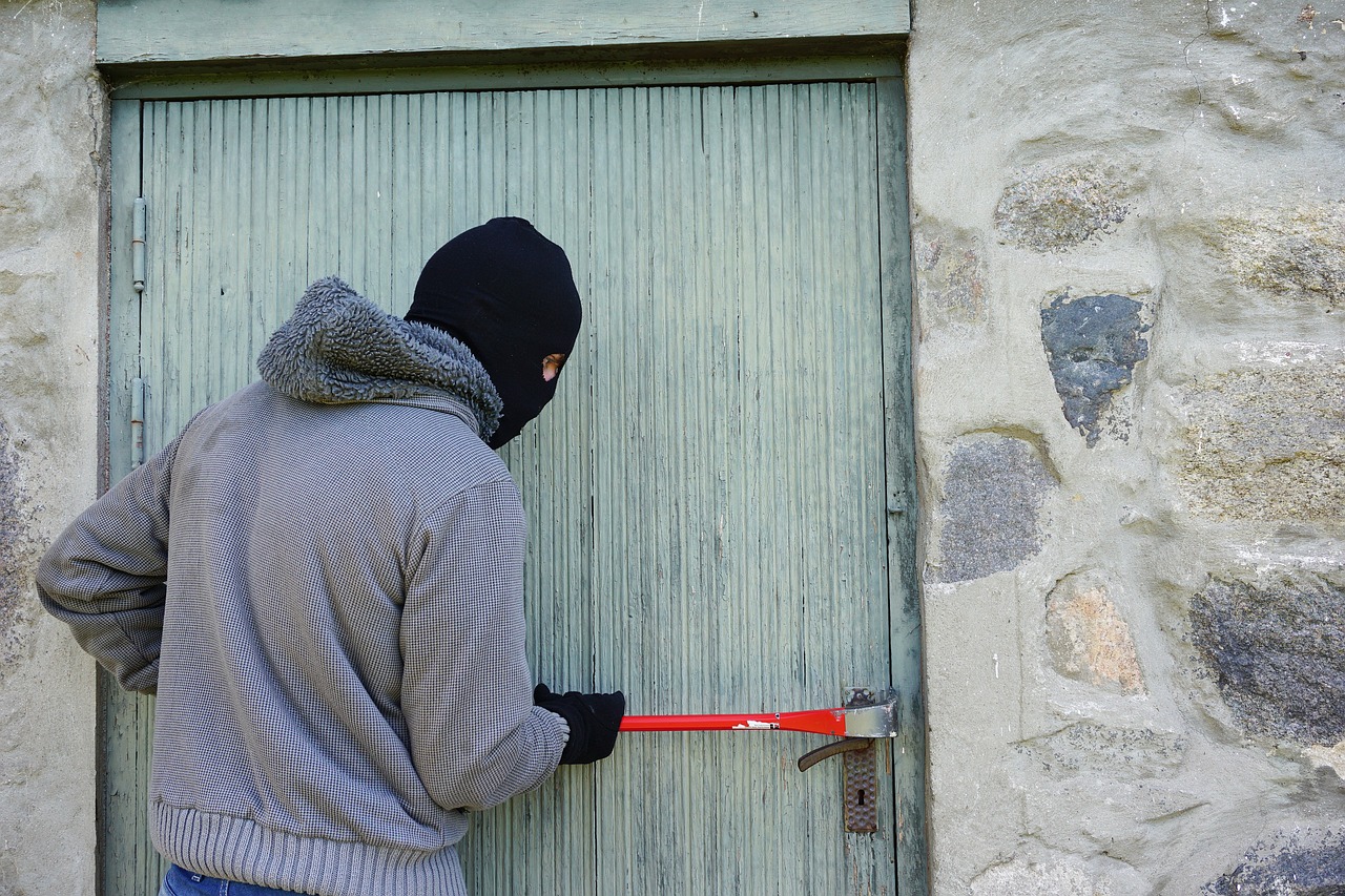Beer, honey and gambling machines: A year behind us marked by a series of unusual thefts throughout Bosnia and Herzegovina